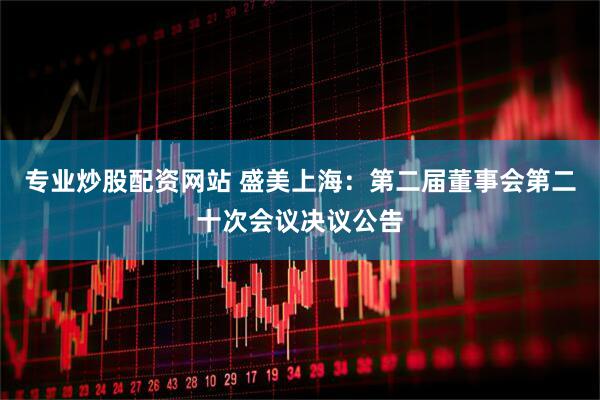 专业炒股配资网站 盛美上海：第二届董事会第二十次会议决议公告