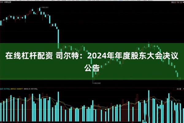 在线杠杆配资 司尔特：2024年年度股东大会决议公告