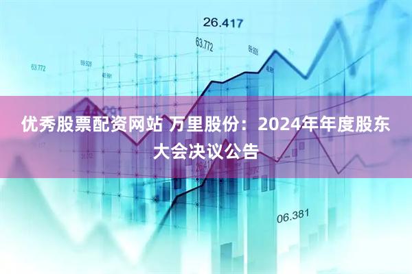 优秀股票配资网站 万里股份：2024年年度股东大会决议公告