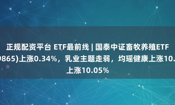 正规配资平台 ETF最前线 | 国泰中证畜牧养殖ETF(159865)上涨0.34%，乳业主题走弱，均瑶健康上涨10.05%
